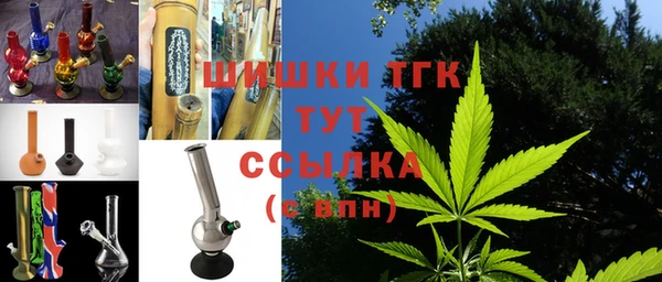 гидропоника Алзамай