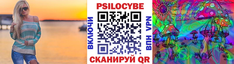 Псилоцибиновые грибы Psilocybe  где можно купить   blacksprut как зайти  Алушта 